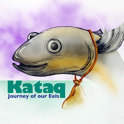 Kataq: Journey of Our Eels
