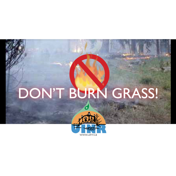 Please don't burn grass!
