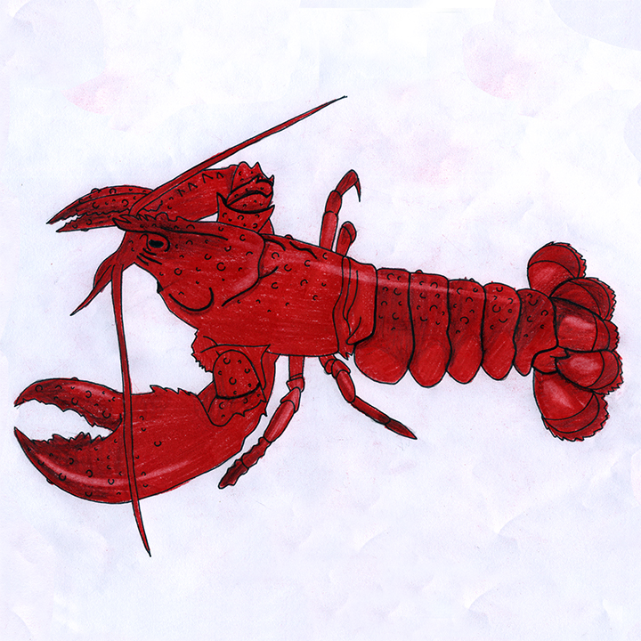 Commercial Fisheries in Unamaki: Jakejk/Lobster