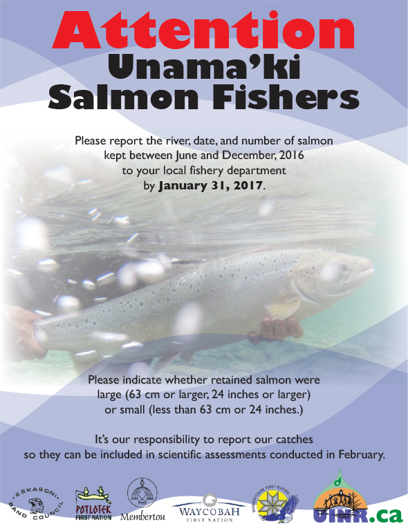 Attention Unama’ki Salmon Fishers