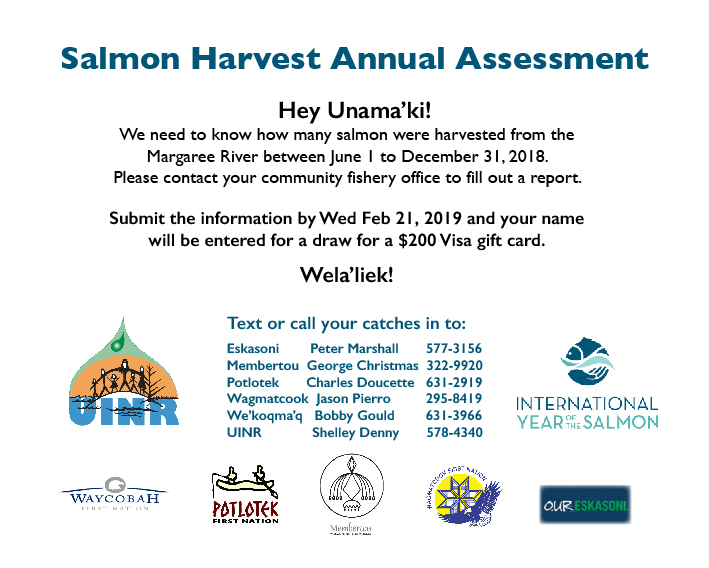 Annual Salmon Assessments